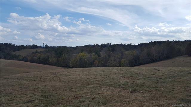 Tract 2 Bob Wright Hill Road - Photo 1