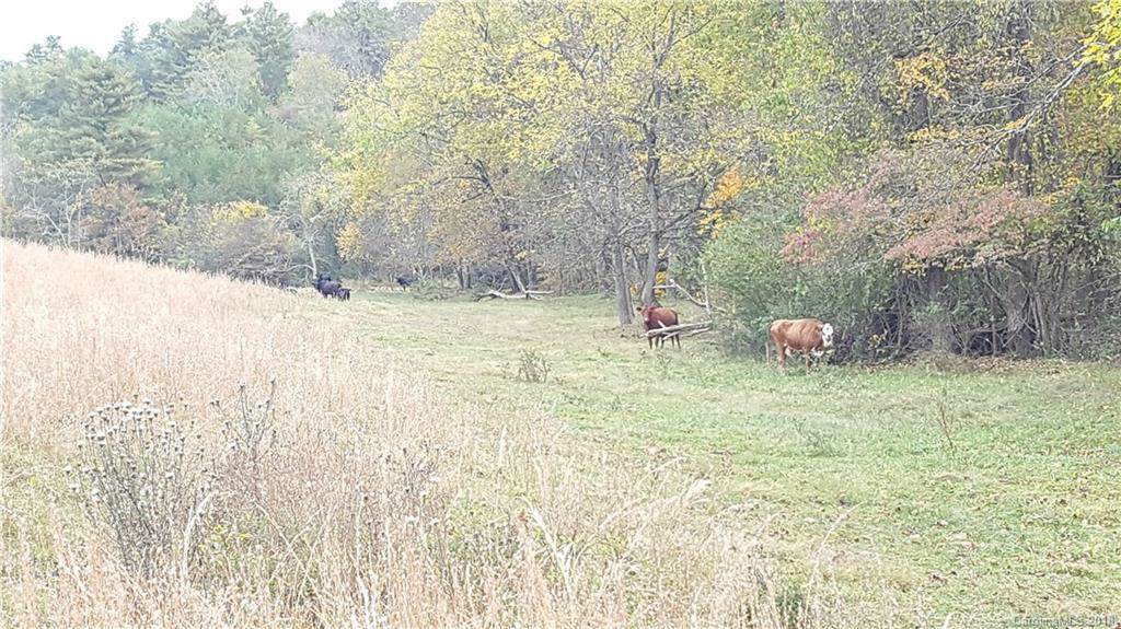 Tract 4 Bob Wright Hill Road - Photo 1