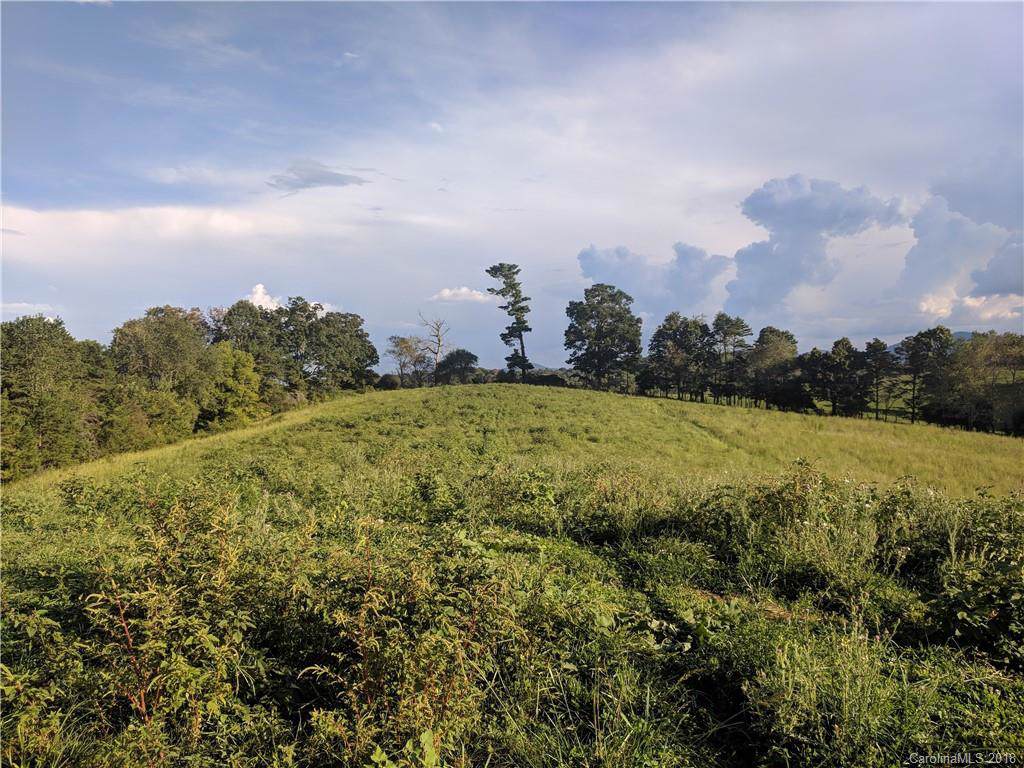 Tract 5 Bob Wright Hill Road - Photo 1