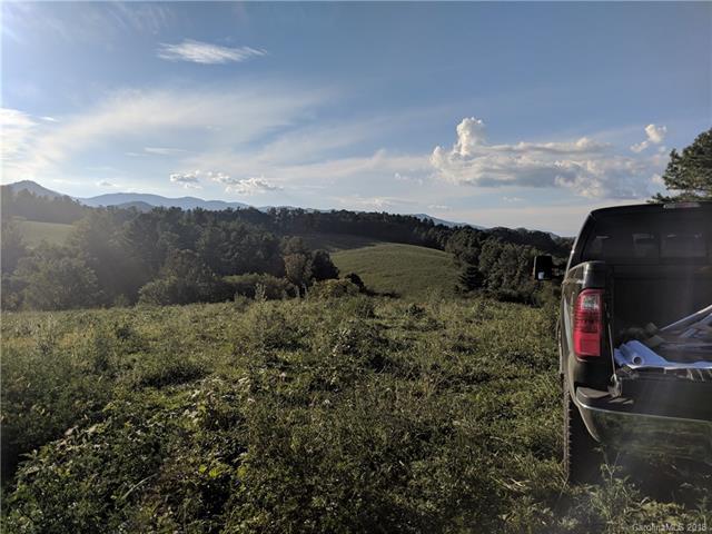 Lot 6 Bob Wright Hill Road - Photo 1