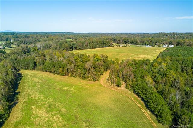 0 Hickory Grove Church Road - Photo 1