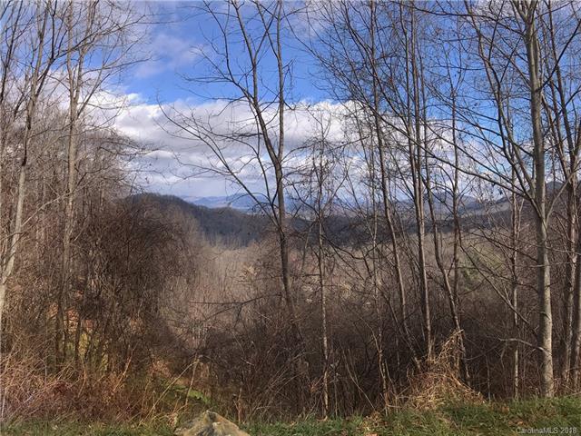 0 Acres View Drive - Photo 1