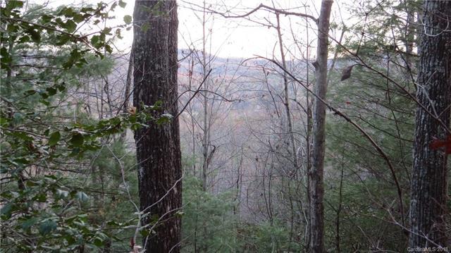 000 Old Mt Olivet Road - Photo 1