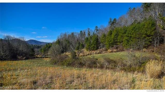 68 Brown Branch Road - Photo 1