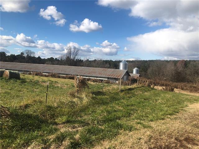 1504 Paynes Dairy Road - Photo 1
