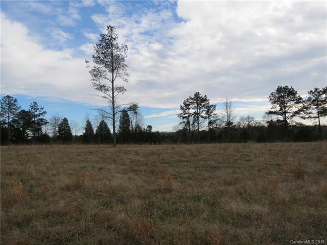 1351 Springlake Road - Photo 1