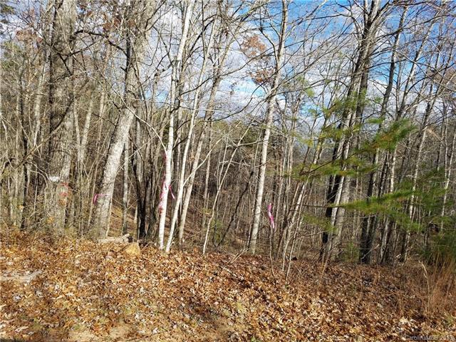 0000 Grassy Knob Road - Photo 1