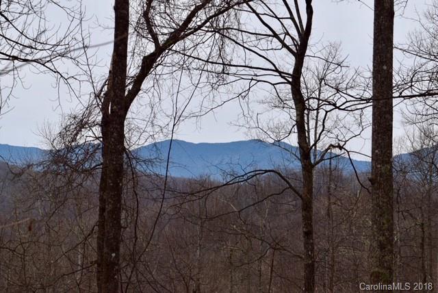 Lot 67 Rainbow Trout Drive - Photo 1