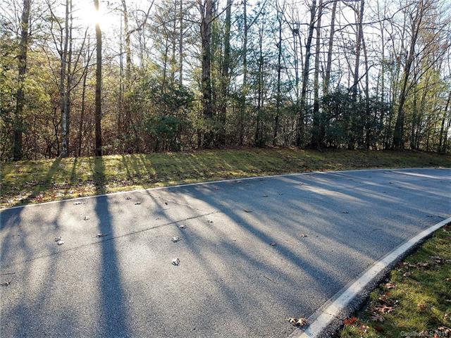 99999 Chickory Crossing - Photo 1