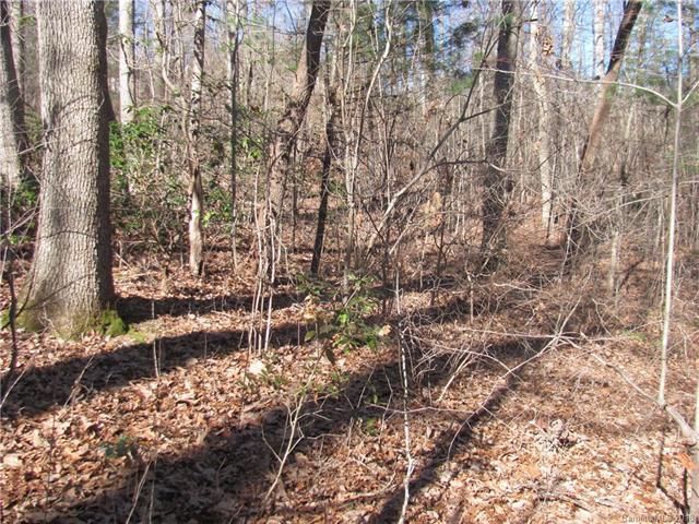 TBD Burge Mountain Road - Photo 1