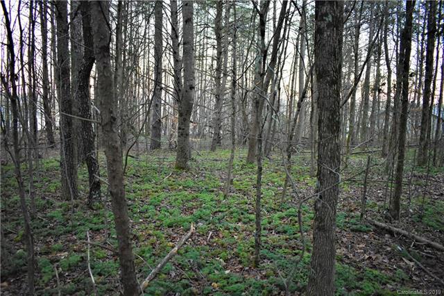 00 Cottontail Lane - Photo 1