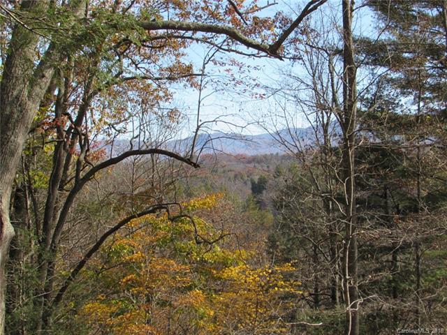 00 Old Log Road - Photo 1