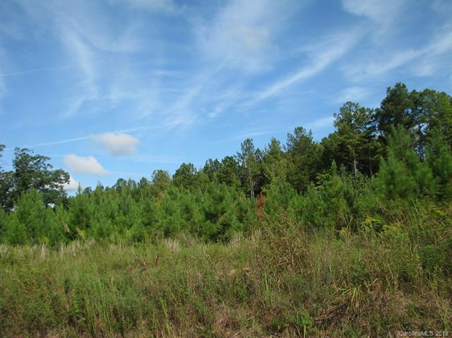 16 Ac Tart Road - Photo 1