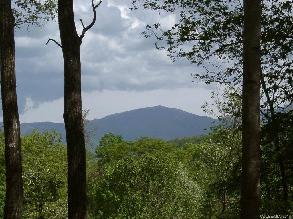 Lot 288 Winding Creek Drive - Photo 1