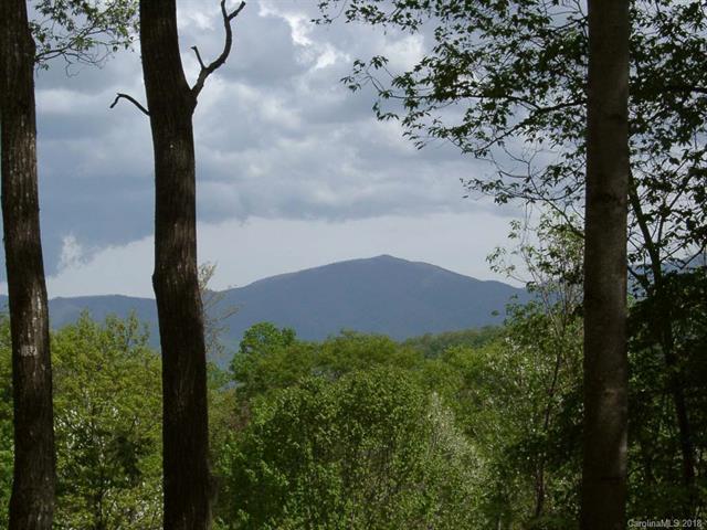 Lot 288 Winding Creek Drive - Photo 1