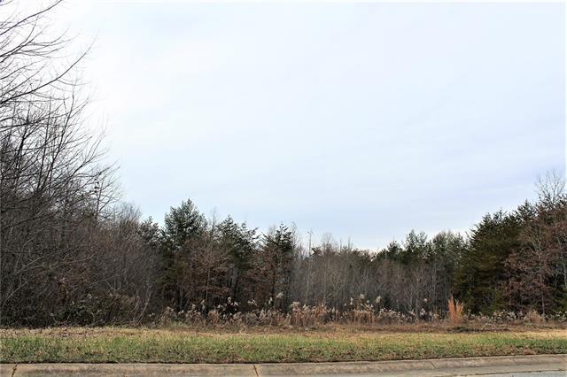 603 Foxridge Court - Photo 1