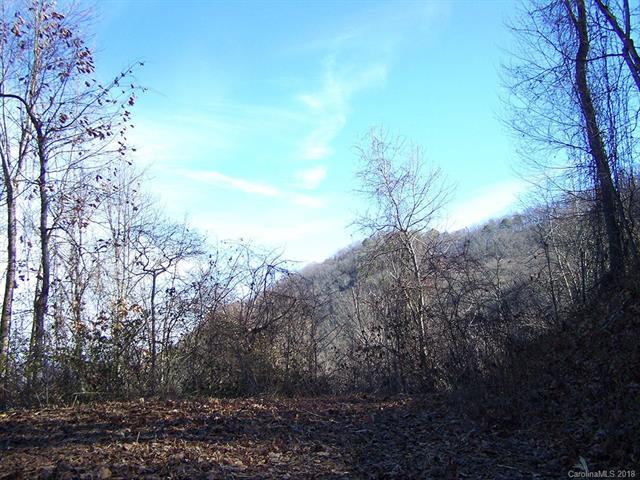 304 Anglers Ridge - Photo 1