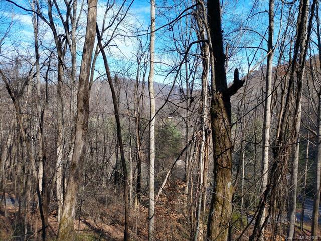 48 Spirit Mountain Trail - Photo 1