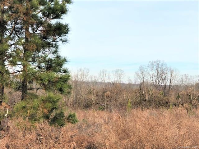 996 Baileys Chapel Road - Photo 1