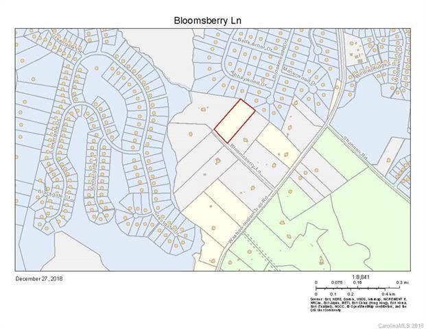 0 Bloomsberry Lane - Photo 1
