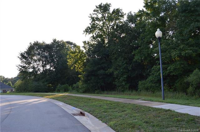 Lot 17 Santiago Circle - Photo 1