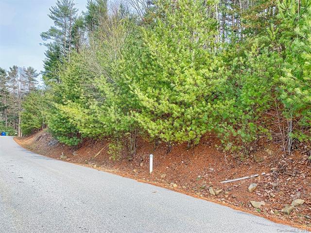 Lot 8 Stegall Lane - Photo 1