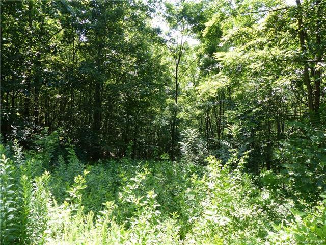 0 Mountain Lookout Drive - Photo 1