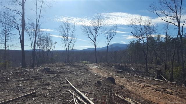 Off Skyuka Road - Photo 1