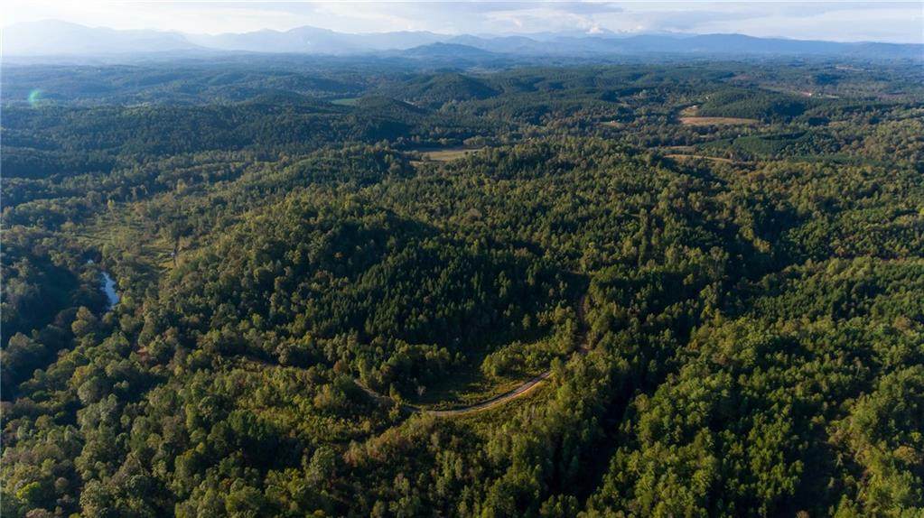 233.5 acre tract on Jay White Road - Photo 1