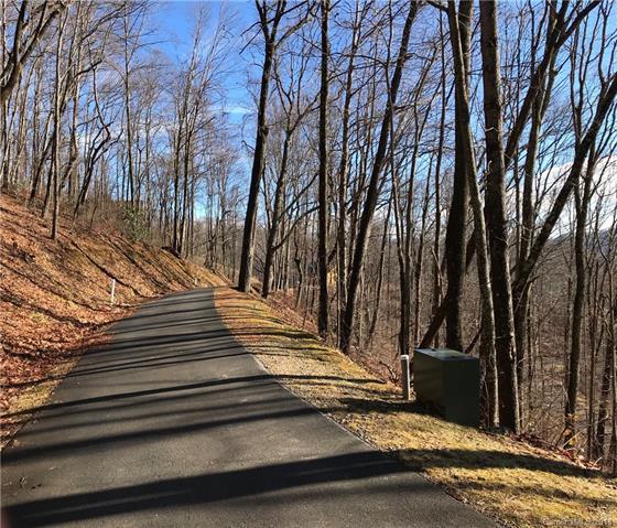 Lot 29 Cadillac Pointe - Photo 1