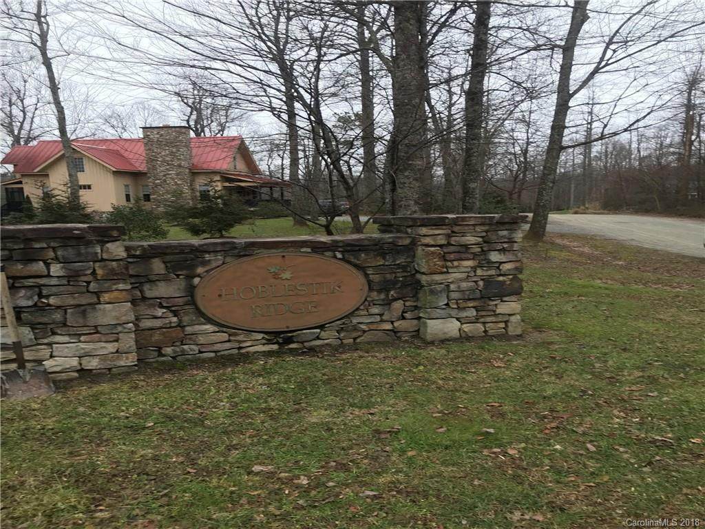LOT 6 Spring Creek Lane - Photo 1