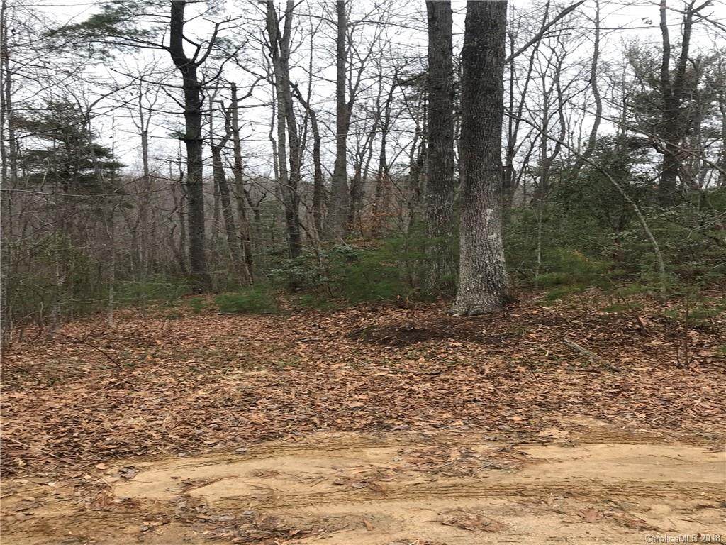 LOT 6 Spring Creek Lane - Photo 1