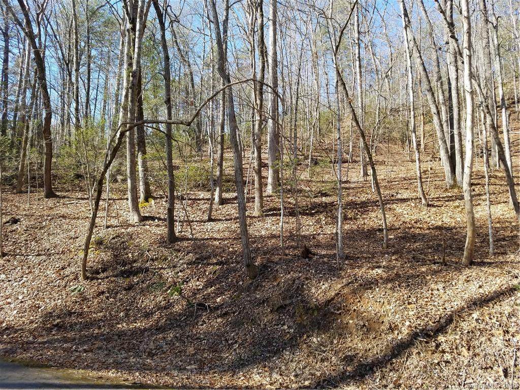 0 Deerfield Drive - Photo 1