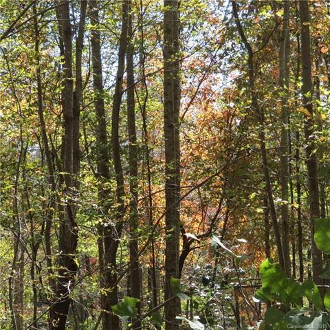 Lot 81 Winesap Boulevard - Photo 1