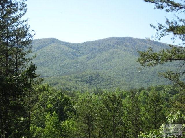 1033 Horizon Trail - Photo 1