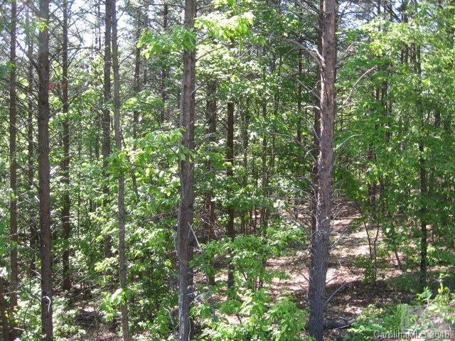 9023 Horizon Trail - Photo 1