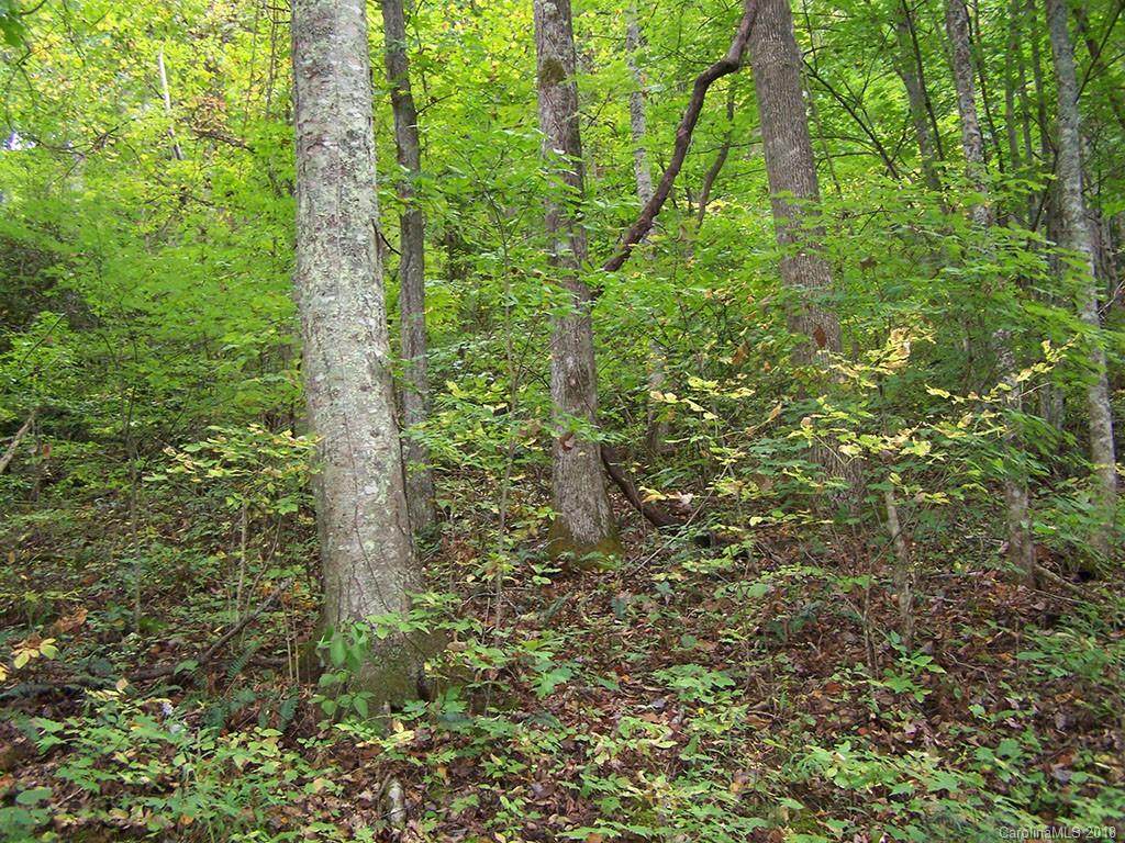 000 Whispering Woods Path - Photo 1