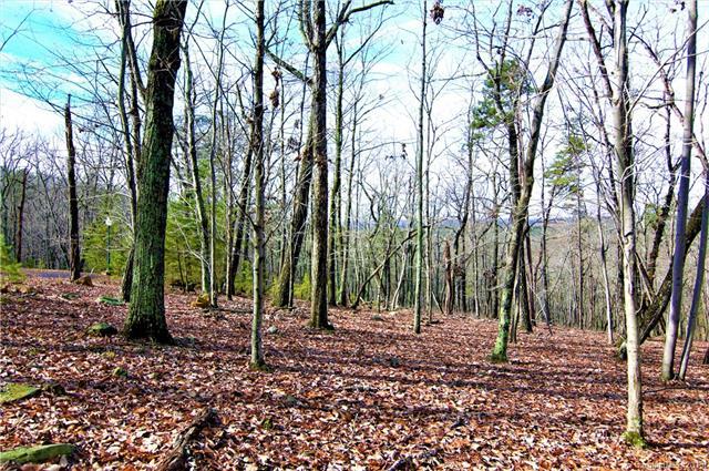 282 Cascading Creek Trail - Photo 1