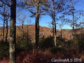 9 Laurel Knob Road - Photo 1