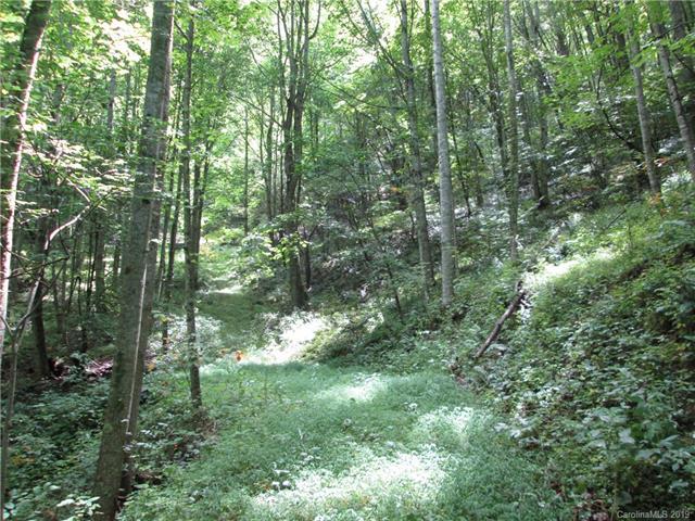 0000 South Fork Road - Photo 1