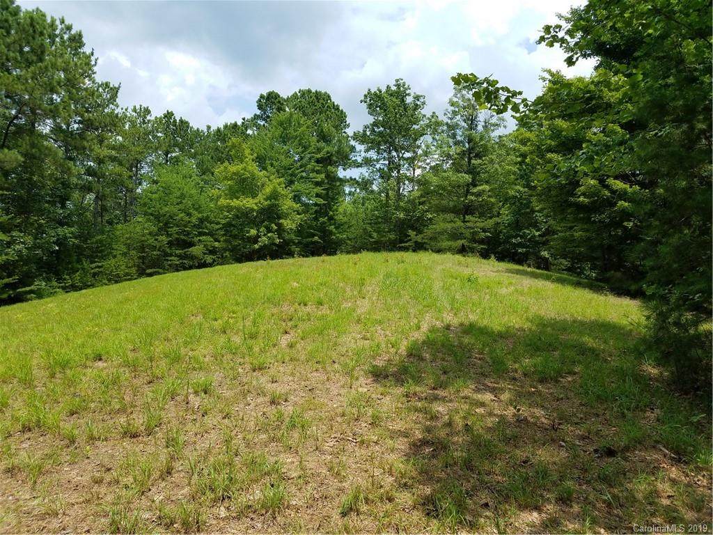00 Lake Adger Parkway - Photo 1