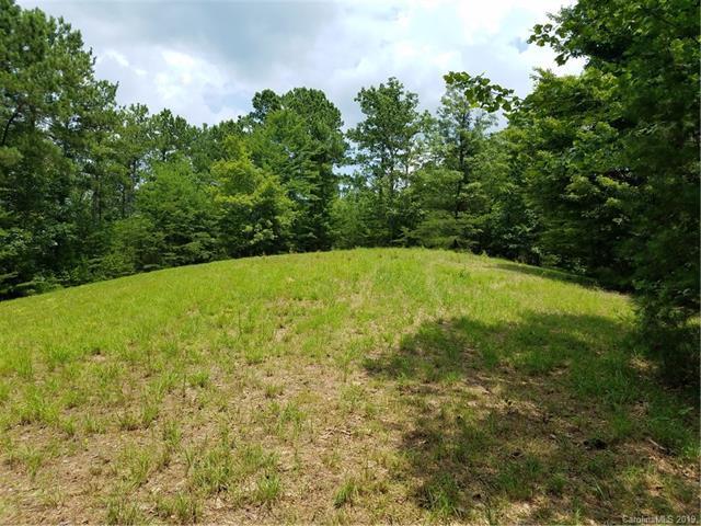 00 Lake Adger Parkway - Photo 1