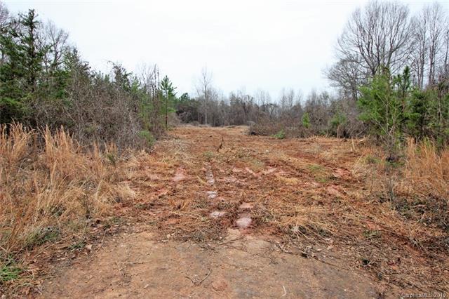 22 Acres Filbert Highway - Photo 1