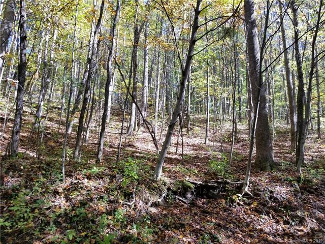 TBD Old Chestnut Mountain Road - Photo 1