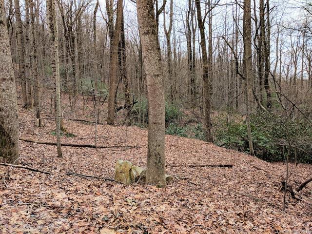 00 Melrose Mountain Road - Photo 1