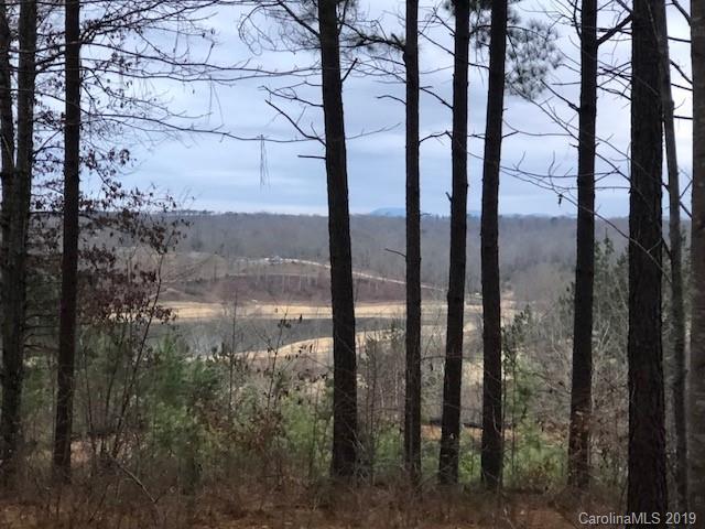 Lot 34 Overmountain Trace - Photo 1