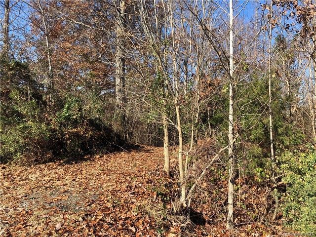 233 Catawba Crest Lane - Photo 1