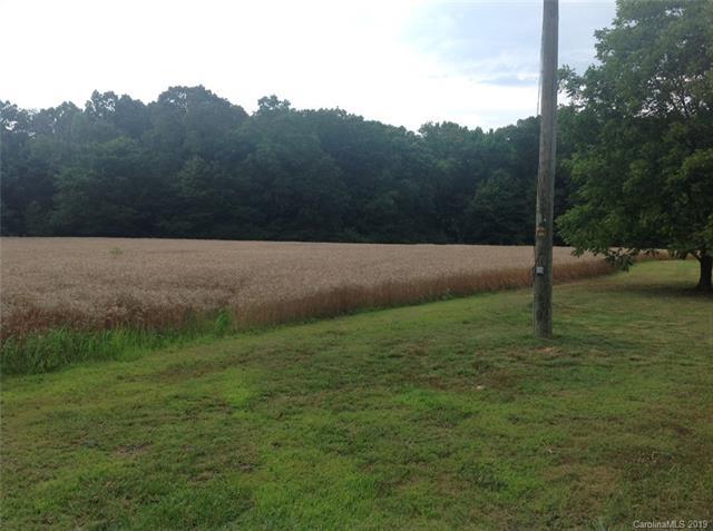0 Old Goldmine Road - Photo 1