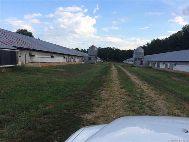 3145 Upper White Store Road - Photo 1