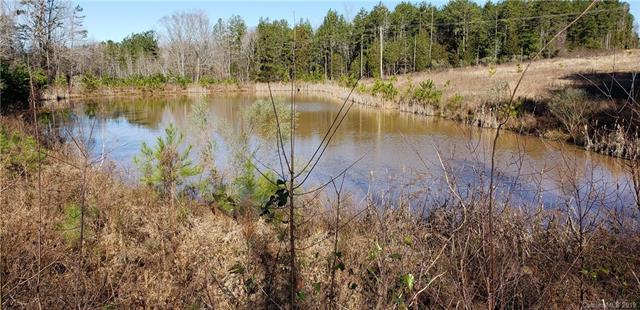 4899 Joe Bost Road - Photo 1